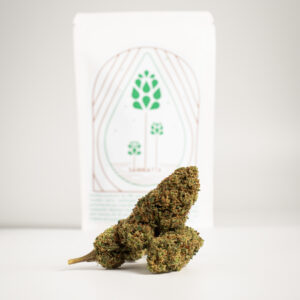 White Melon