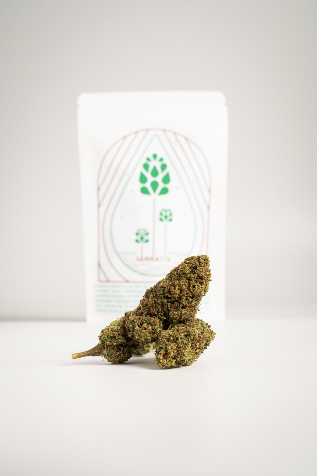 White Melon