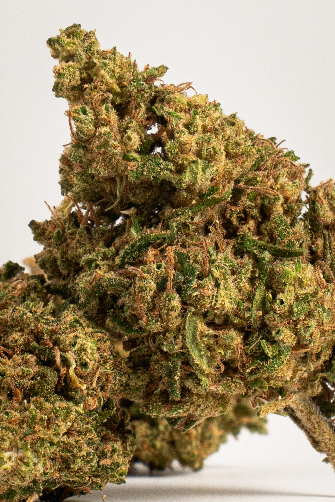 OG Kush - Imagen 3