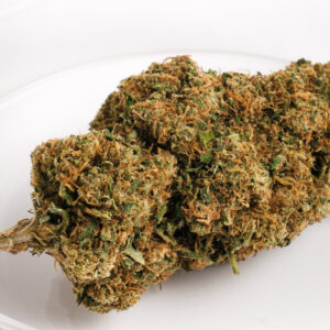Gorilla Glue