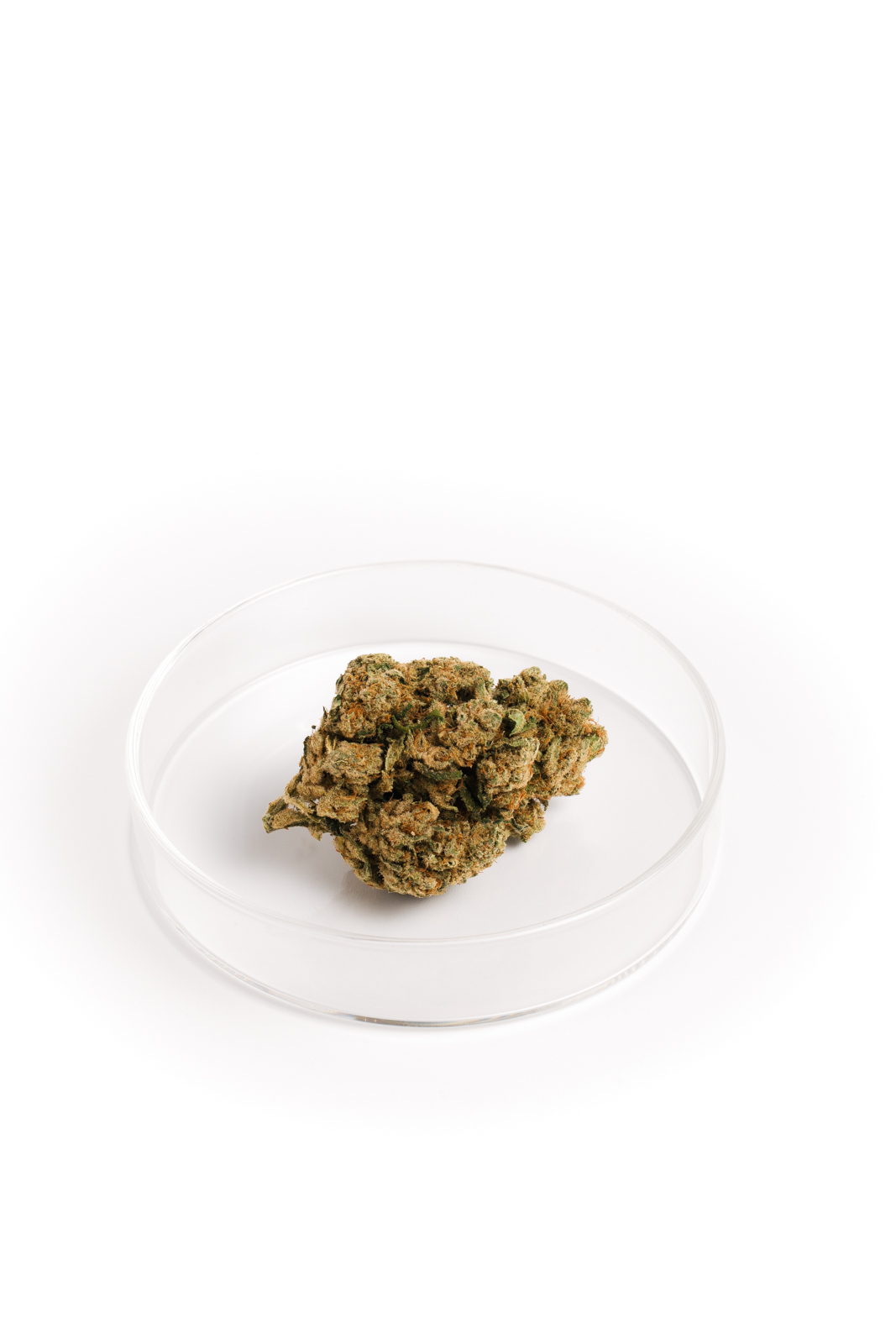 Amnesia Haze Hydro
