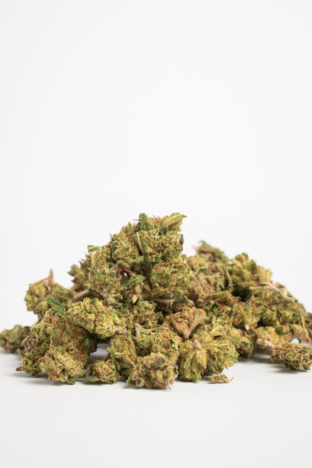 SmallBuds Mango Haze - Imagen 3