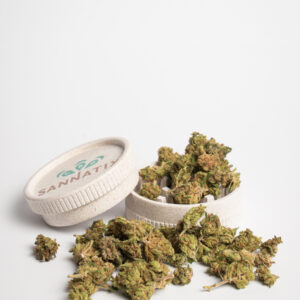 SmallBuds Mango Haze